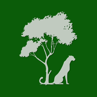 Wild Green Square, par Xavier E. G. Dierick